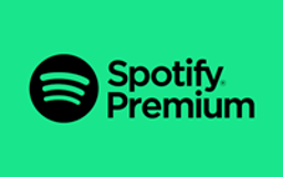 Spotify 3 Month Egift Card